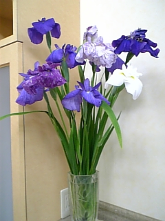e0145332_23365190.jpg