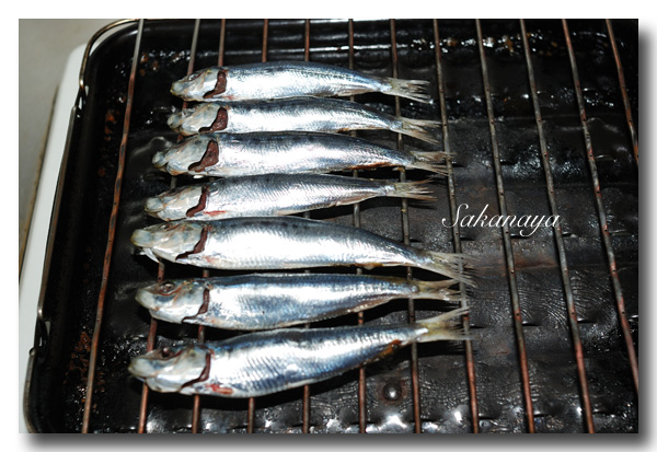 自家製 目刺し の作り方 マイワシを使って天日干し 魚屋三代目日記