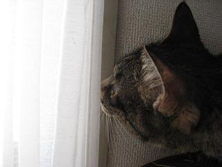 e0113040_2150539.jpg