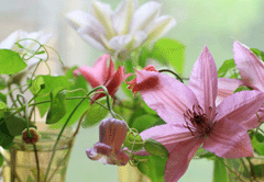 f0134642_215149100.gif