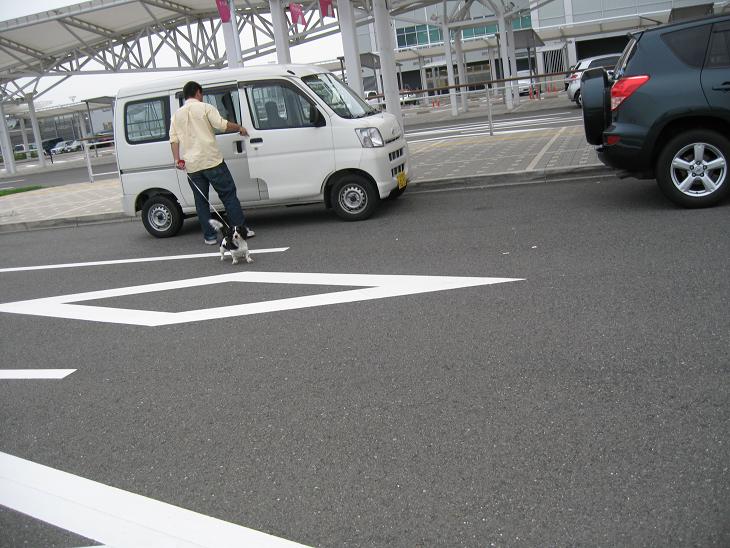 梅雨の晴れ間に・・・_a0101143_2205451.jpg