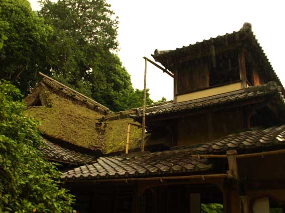 d0149245_22141161.jpg