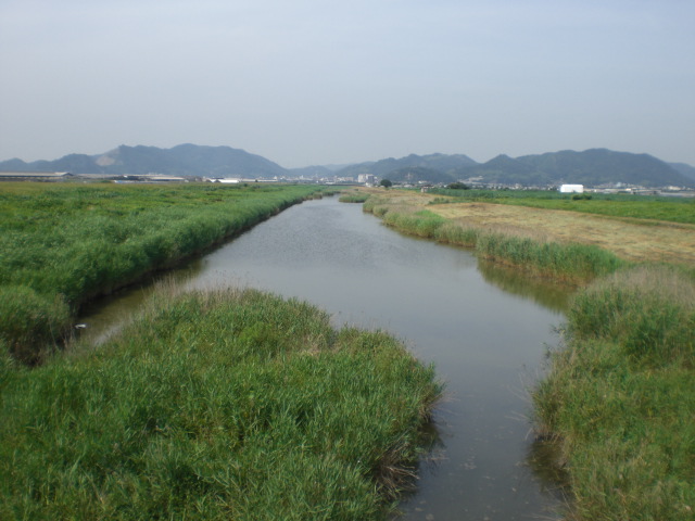 b0152548_18335499.jpg