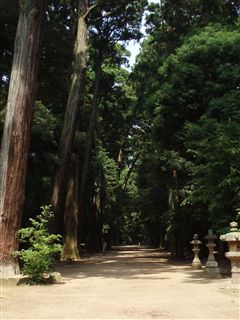 鹿島神宮参拝_d0082655_1932695.jpg