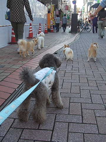 e0129656_2222576.jpg