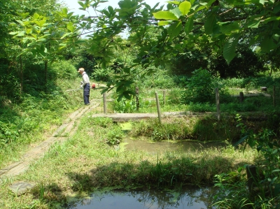 c0108460_21302717.jpg