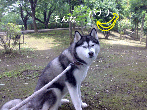 d0087675_13495390.gif