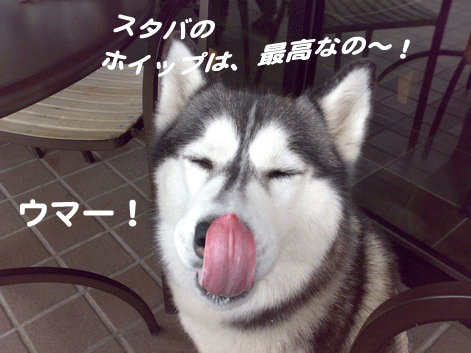 d0087675_14121222.gif
