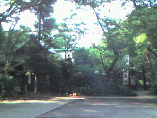 f0072976_16474066.jpg