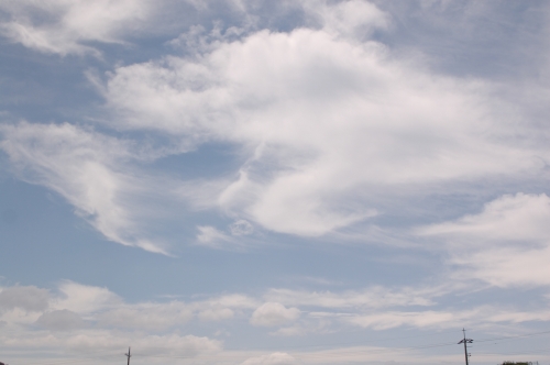 d0063278_02174.jpg