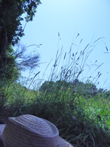草原で昼寝_f0106597_0501583.jpg