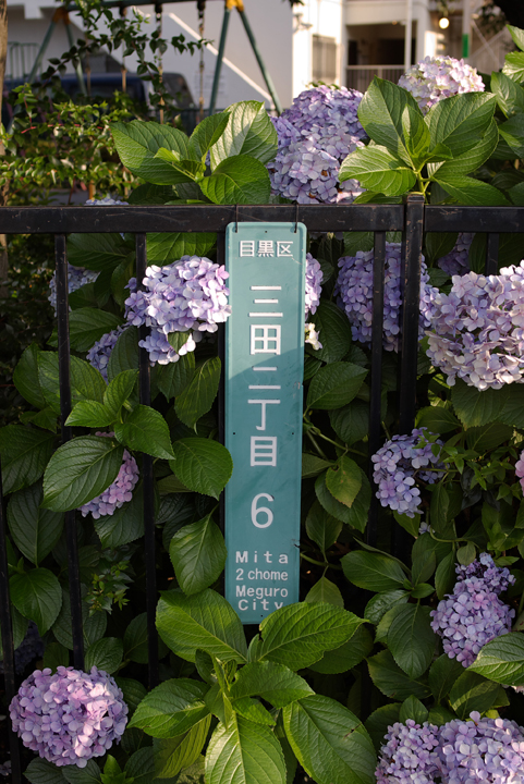 c0120903_2132666.jpg