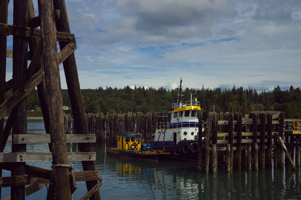 船着き場 shot & shot