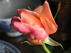 c0048023_6265813.jpg