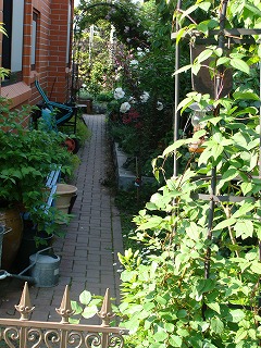 f0170524_1411529.jpg