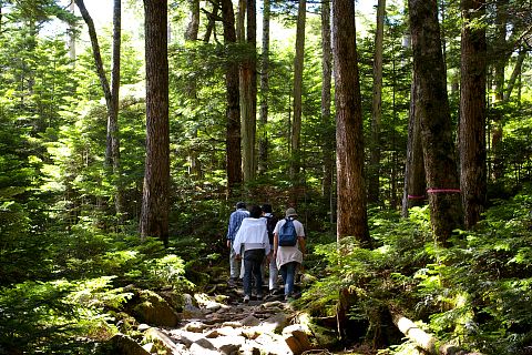 高見石と白駒池ハイキング_d0102327_011040.jpg