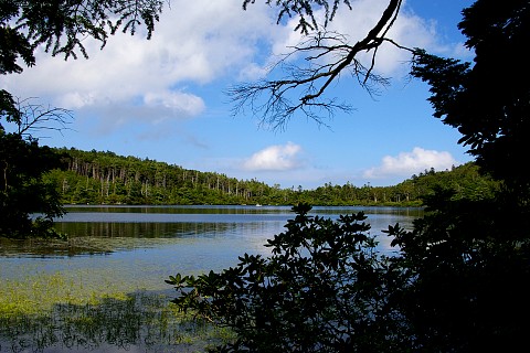 高見石と白駒池ハイキング_d0102327_0165677.jpg