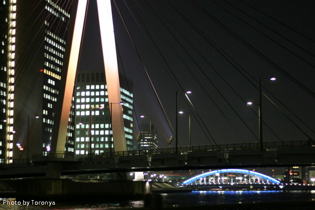 b0152234_9591256.jpg