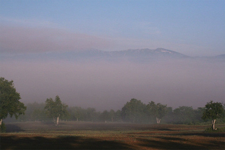 d0012134_23121030.jpg