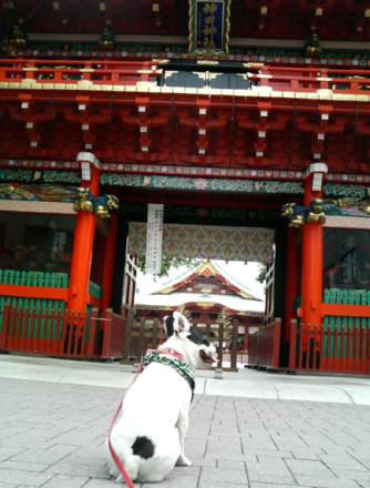 a0052736_14413599.jpg