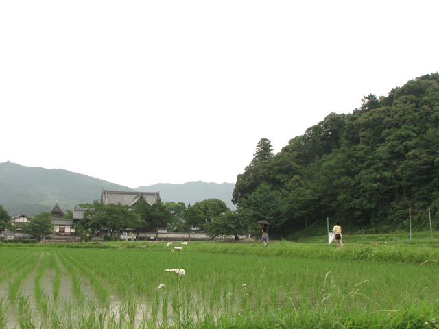 大気分転換 飛鳥旅行 _d0067943_14273668.jpg