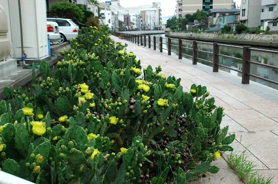 　　街を歩けば_b0093754_043084.jpg