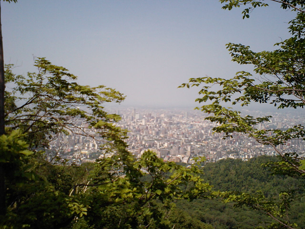 d0098665_16213776.jpg