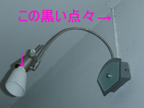 アリにやられた~!!_f0144385_1349237.jpg