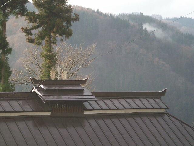 屋根に…_f0117498_15086.jpg