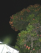 f0146198_15342369.jpg