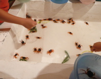 f0146198_16104340.jpg
