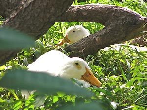 b0115200_9222255.jpg