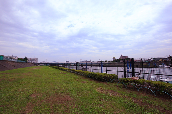 e0117503_1664393.jpg