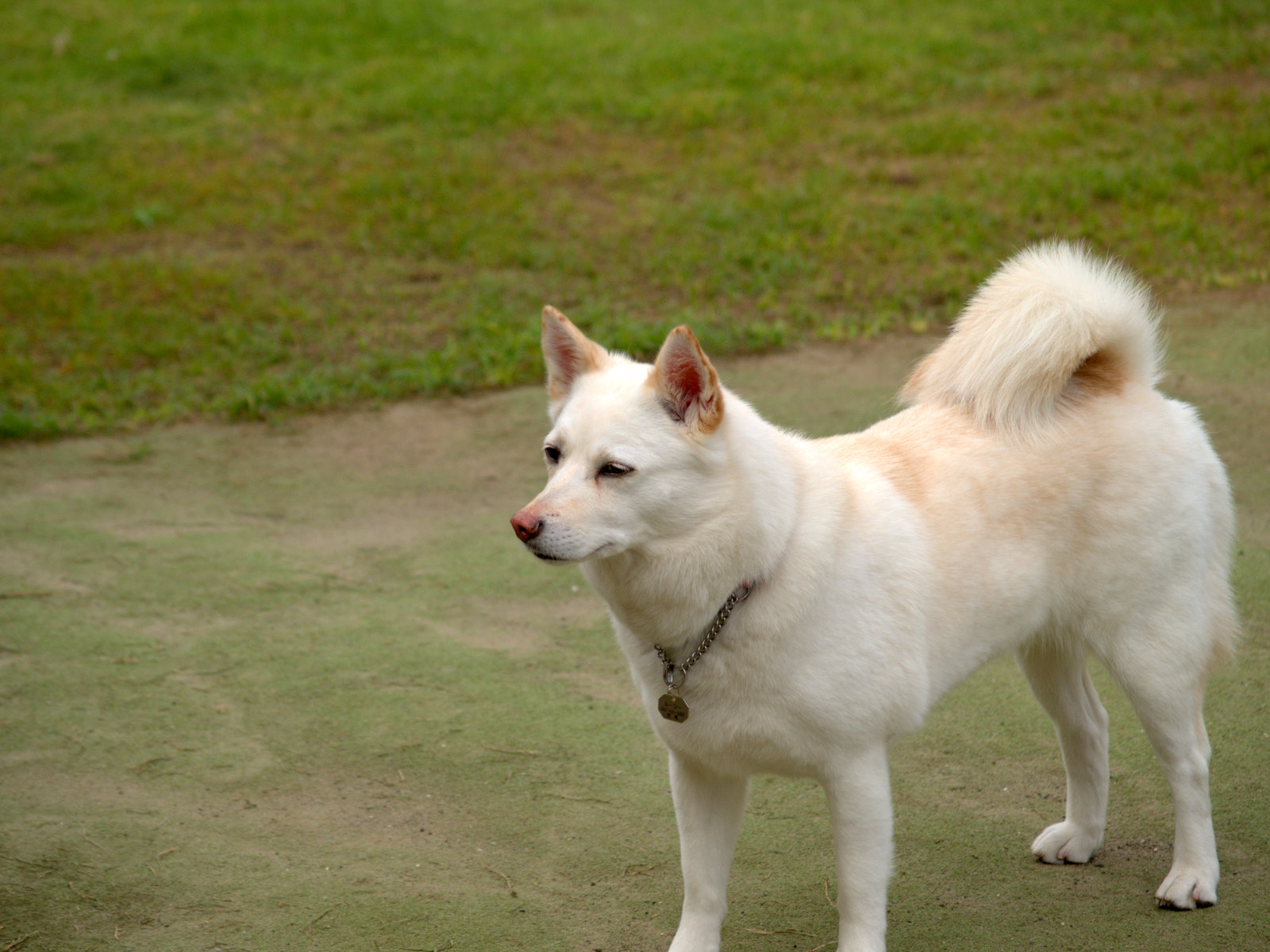 a0024004_22224022.jpg