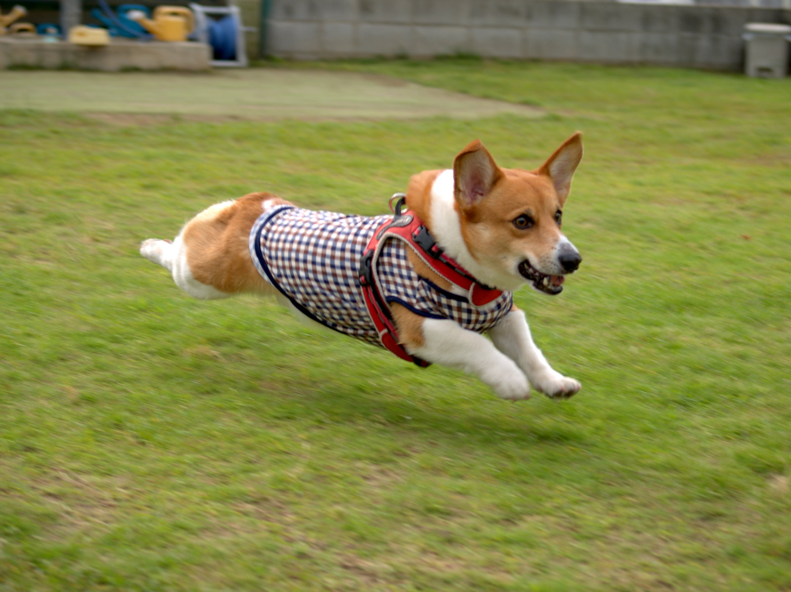 a0024004_22234091.jpg