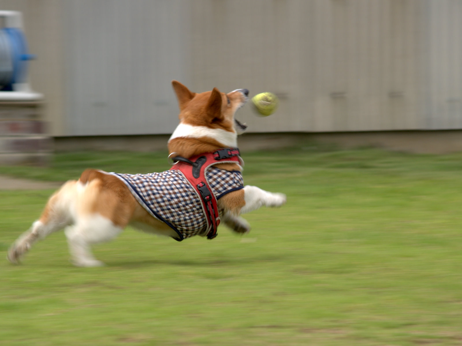 a0024004_22242027.jpg