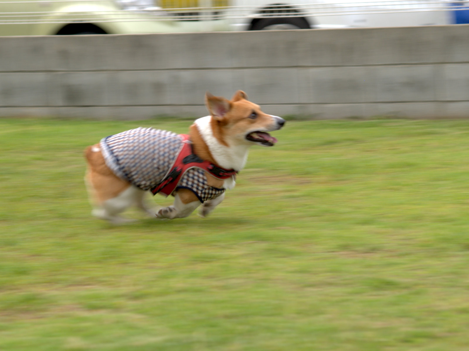a0024004_2224674.jpg