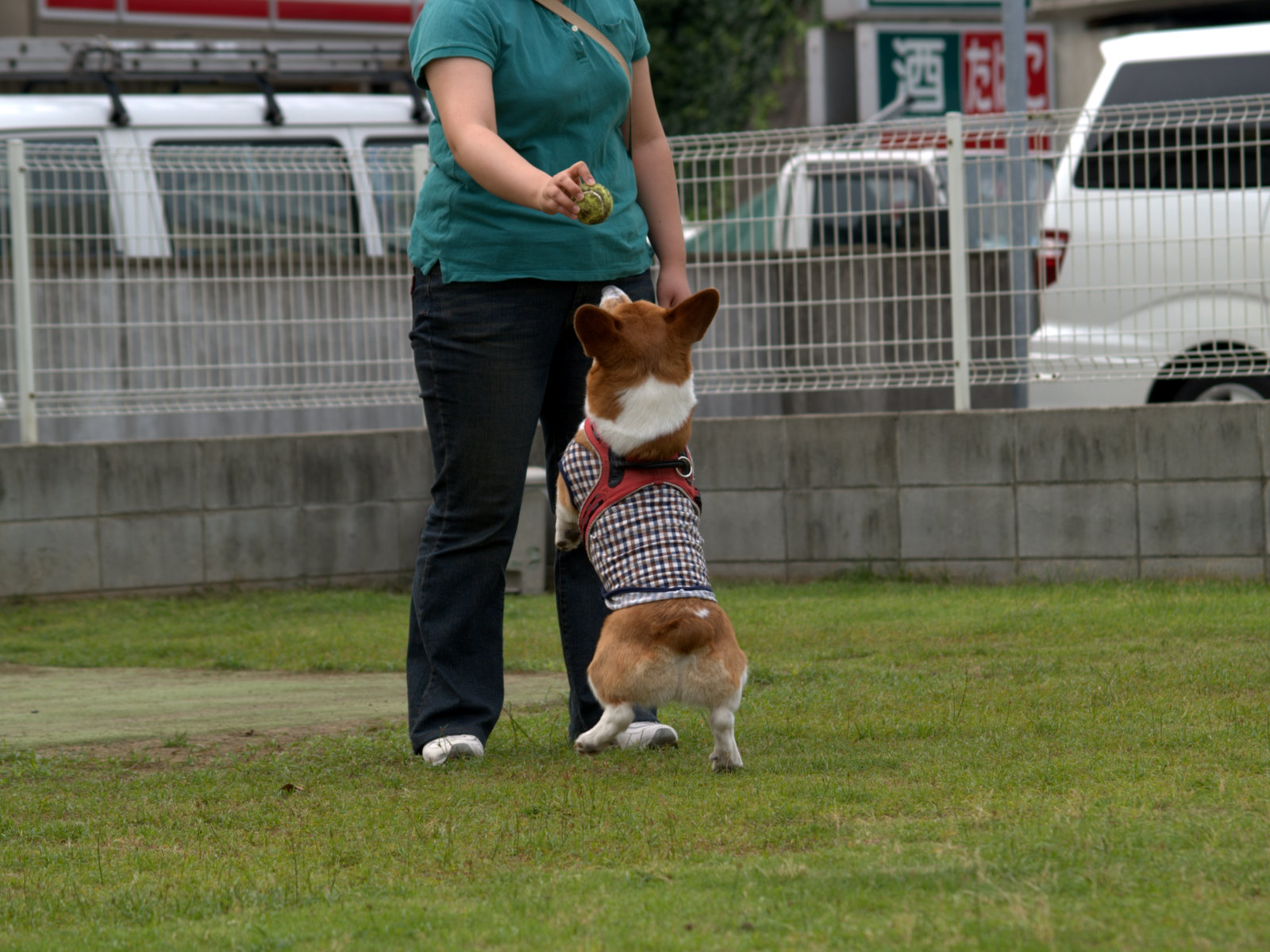 a0024004_22251845.jpg