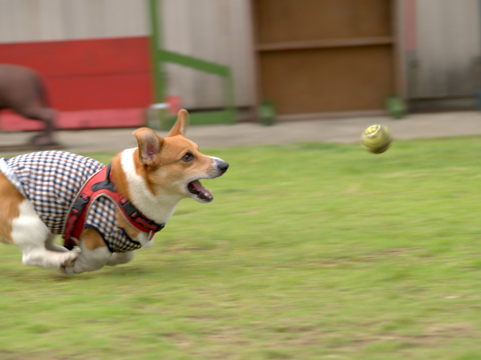 a0024004_22254585.jpg