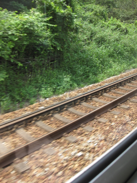 c0134522_9391952.jpg
