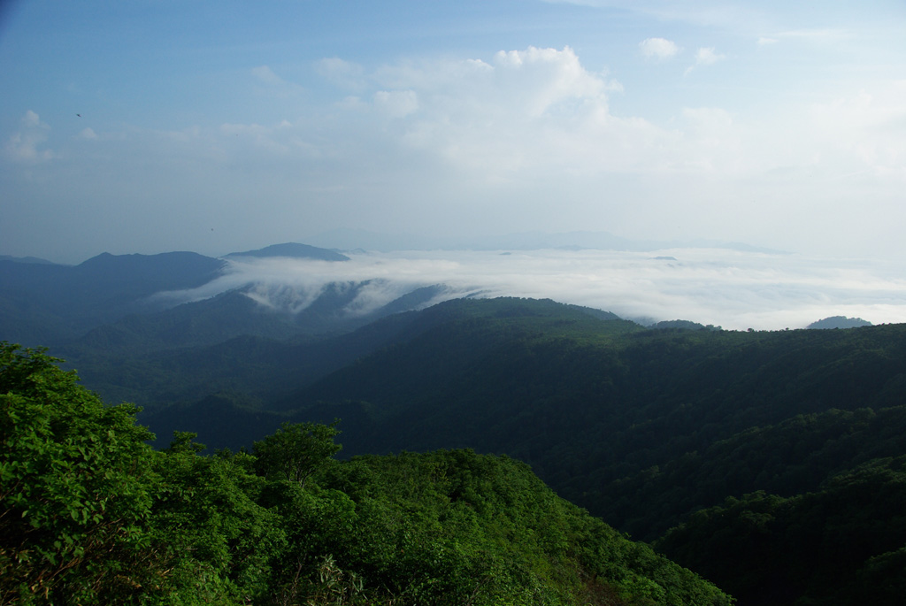 浅草岳　花の旅・ヒメサユリをたずねて_b0062024_21564359.jpg