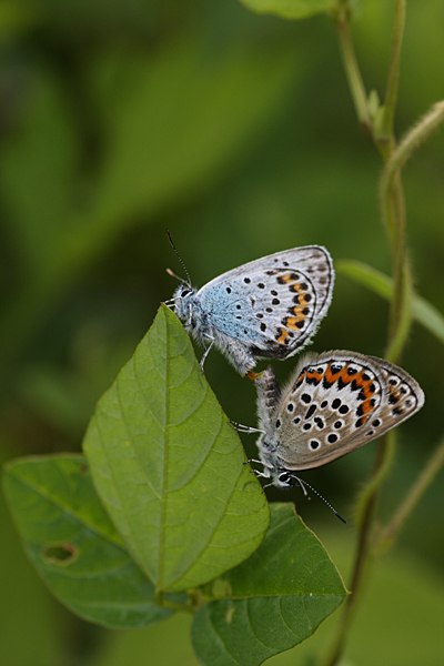 d0054625_23352195.jpg