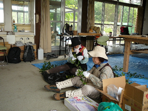 d0024426_95967.jpg