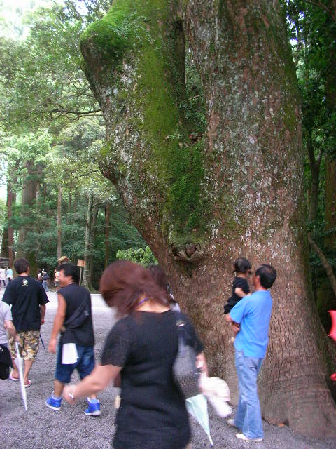 e0089227_2259213.jpg