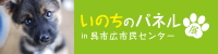 ■「わがまち恋文コンテスト」展示中■_f0080530_10135123.jpg