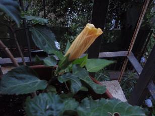 b0150335_8333550.jpg