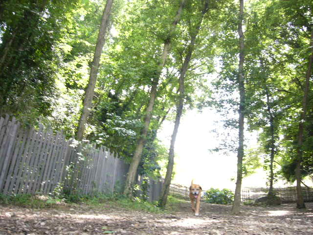 e0080535_17503537.jpg