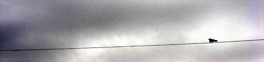 d0086747_21422876.jpg
