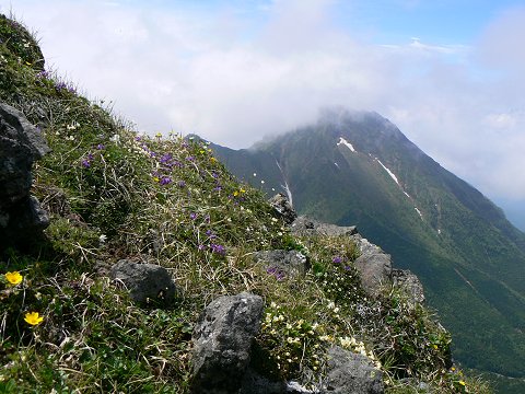 風の通り路50号は八ヶ岳の山_f0019247_22554771.jpg