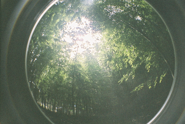 c0092751_0384575.jpg